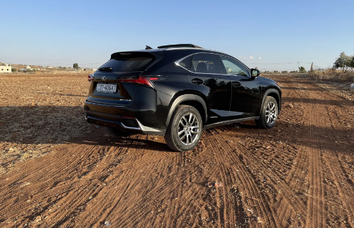 Lexus NX300h